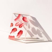 Load image into Gallery viewer, Lip Whip Color Balm