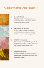 Load image into Gallery viewer, SuperHair Daily Hair Nutrition