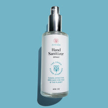 Load image into Gallery viewer, Hand Sanitizer Spray